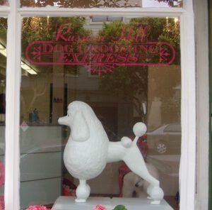 russianhill_dog_grooming