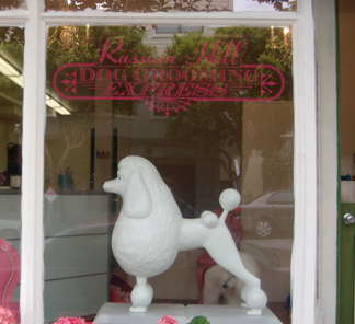 Russian Hill Dog Grooming Express